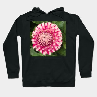 Dahlia my Dahlia Hoodie